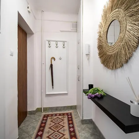 Parrot Dream وارسو